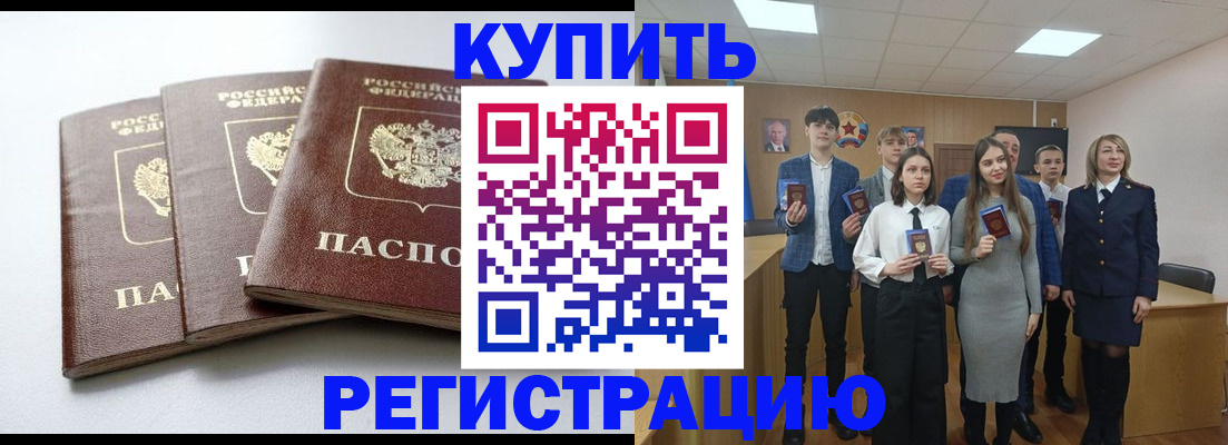 прописка 2025 в Сольцах