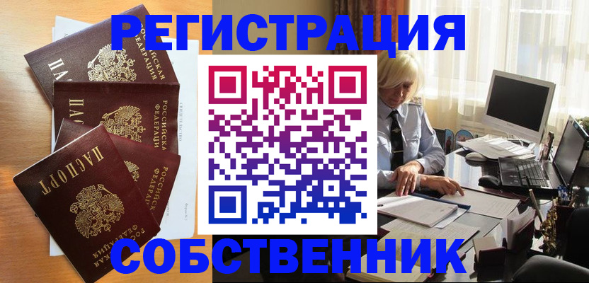 форма 3 в Сольцах